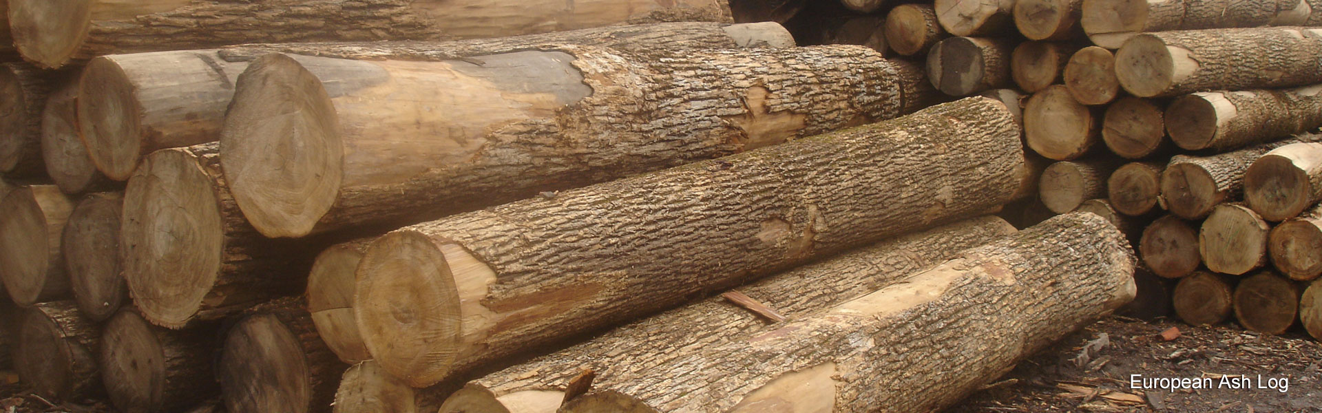 Timber Material