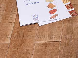 Amer. Maple