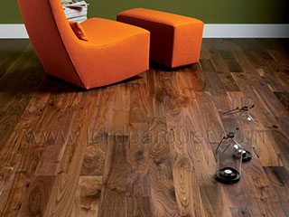 Amer. Black Walnut